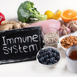 immune support tea organic natural herbals for immune defense and immune function